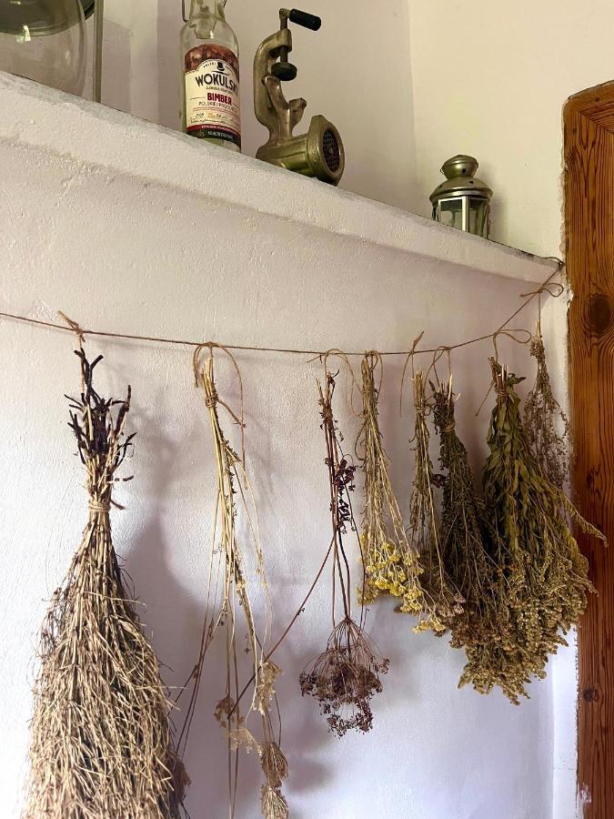 Agroturystyka U Koziolka Dlugowola エクステリア 写真